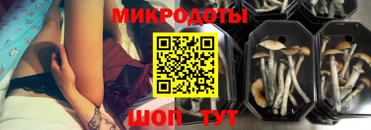 Псилоцибиновые грибы ЛСД Мытищи